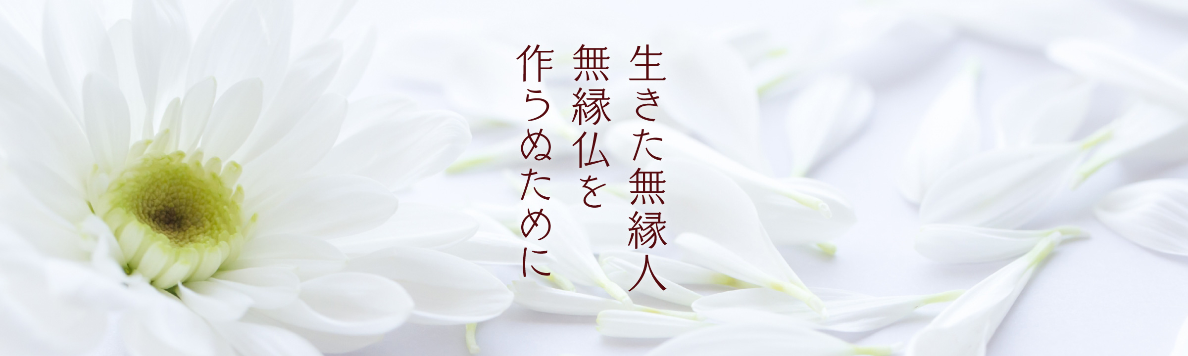 生きた無縁人、無縁仏を作らぬために。